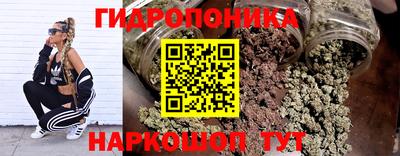 ГАЛЛЮЦИНОГЕННЫЕ ГРИБЫ Будённовск