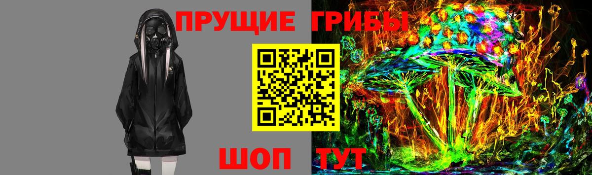 Псилоцибиновые грибы Psilocybine cubensis Северобайкальск