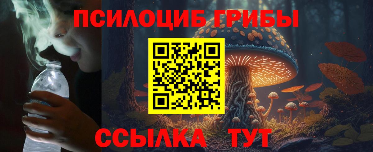 Галлюциногенные грибы прущие грибы  Вход с VPN  Северобайкальск 
